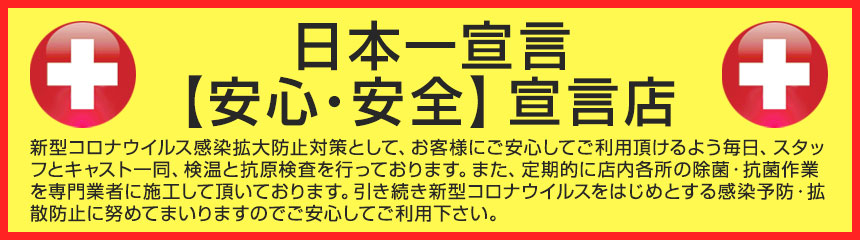 安全宣言