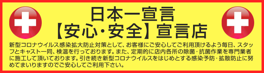 安全宣言